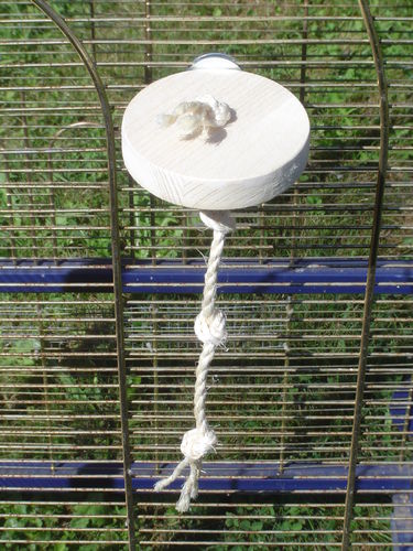 Mini Sitzbrett Ø 9 cm mit Sisal Seil 5 mm, K9